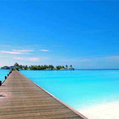 金沙集团9500截图